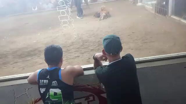 1st fight win