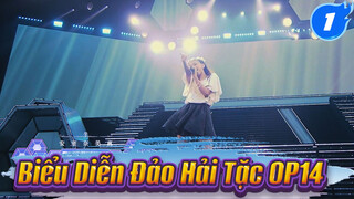 Đảo Hải Tặc OP14 - Fight Together Cùng Chiến Đấu | Namie Amuro Genic Tour_1