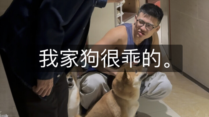 My dog is very well-behaved and never bites people.