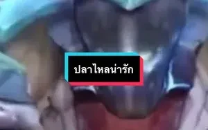 เอาละได้วิธีเล่นละ😁😁