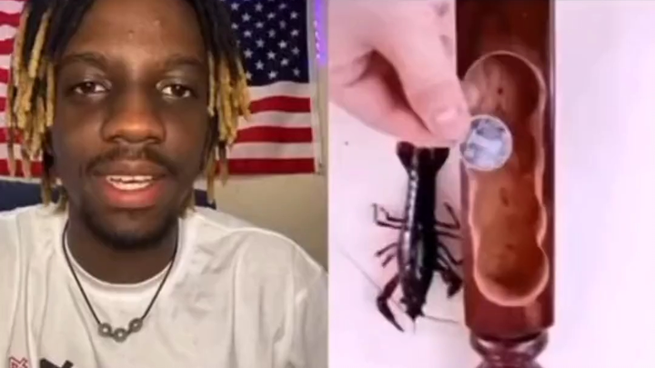 Foreign funny videos