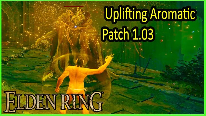 Uplifting Aromatic - Patch 1.02 Vs Patch 1.03 - Elden Ring