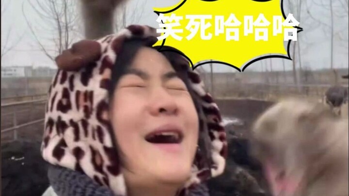 ทุกวันนี้จะหัวเราะจนตายอยู่แล้วเพราะชาวเน็ตน่ารักๆ