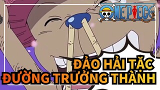 Đảo Hải Tặc|Chopper——Con đường trưởng thành