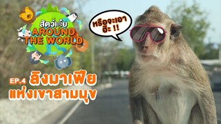 สัตว์เอ๋ย around the world EP.4 ลิงมาเฟีย