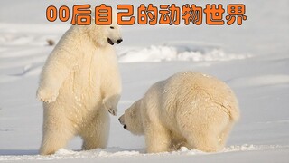 Polar Bear: You're sweating, bro.