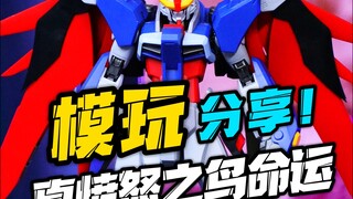 真愤怒之鸟！KO版mr魂命运高达！