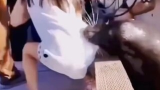 Fun|Hilarious Moments|Funny Acts