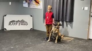 Professional guard dog simulation exercise: protecting a 7-year-old child