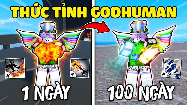 Tôi Dành 100 Ngày Thức Tỉnh VÕ GODHUMAN Trong Blox Fruit !