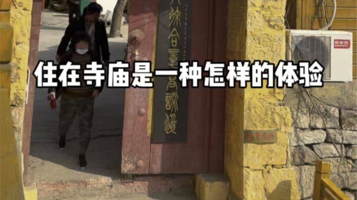 亲身体验在寺庙的一天生活！如果给你，你想和谁一起来体验！