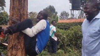 The guy in the blue shirt got tricked and instantly turned into a tree-hugging cicada!