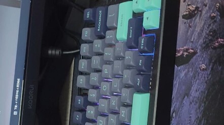 Saya membeli layar komputer untuk laptop saya...