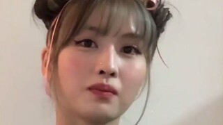 Chị ơi, họ nói họ muốn làm chó của Momo