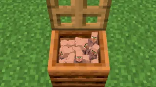 villagers box