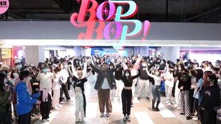 【VIVIZ】这样的阳间曲给我来一打！！BOP BOP! 全曲随机舞蹈|随唱谁跳广州站第十六次KPOP随机舞蹈