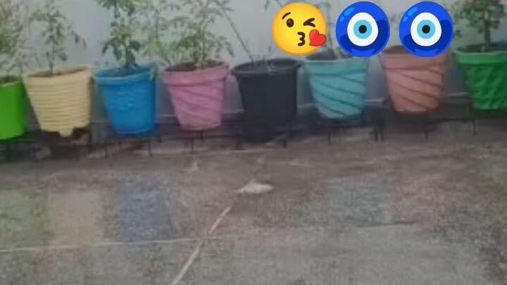 Mera ghar 😘