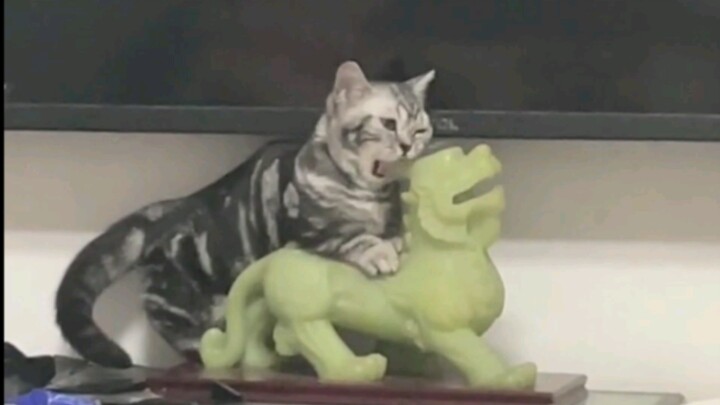 الياقوت لا يصبح أداةً إلا بعد صقله.