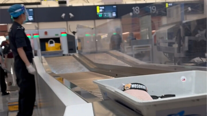 Kiểm tra an ninh tách rời chân người, chắc chỉ có người dùng chân giả mới có siêu năng lực này thôi