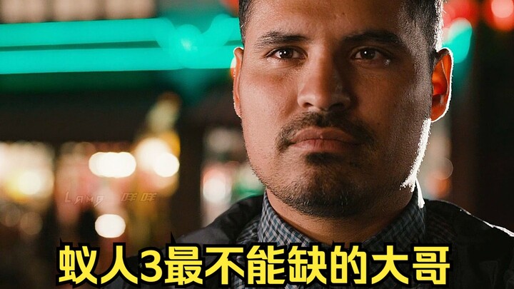 Kegagalan terbesar "Ant-Man 3" adalah kurangnya pria ini. Tingkat tertinggi si gosip