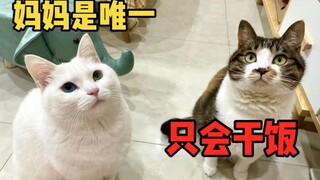 The difference between a rebellious son and a filial son