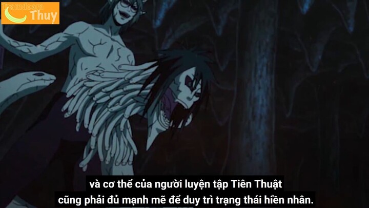 Tramdoan Thụy - tiên thuật của hiền nhân #anime #shooltime