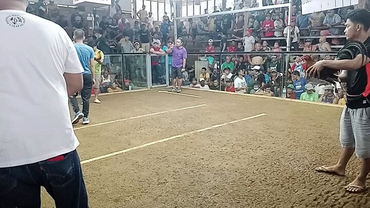 Champion 20k Super Gold line