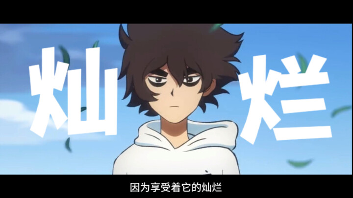 “因为享受着他的灿烂”