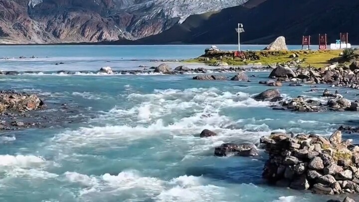Wasir juga dibagi menjadi jenis dari daratan Tiongkok dan jenis lokal Tibet