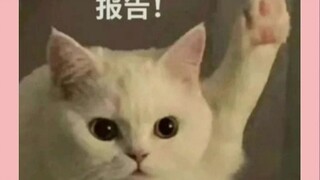 网友：保大还是保小？