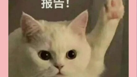 ชาวเน็ต: จะรักษาใหญ่หรือรักษาเล็กดี?