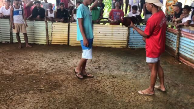 tupada rata 1st fyt lose