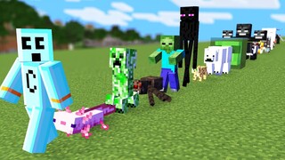 Minecraft but I can Tame All Mobs