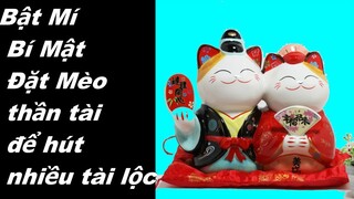 Bật Mí Bí Mật Đặt Mèo thần tài để hút nhiều tài lộc - phong thuỷ tài lộc