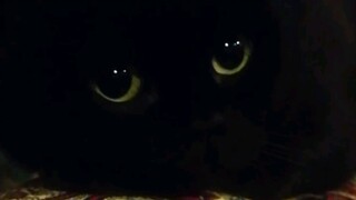 别生气了！我不是故意踩到你的…