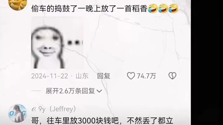 偷车的捣鼓了一晚上放了一首稻香