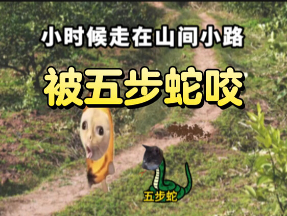 ตอนเด็กถูกงูห้าก้าวฉก