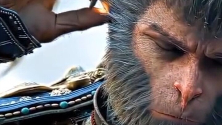 Monkey king best seen