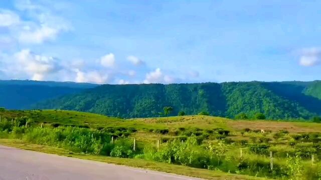 natural view.sylhet road