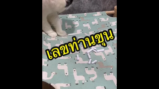การลงทุนมีความเสี่ยง โปรดมีจักรยานในการรับชม🥺
