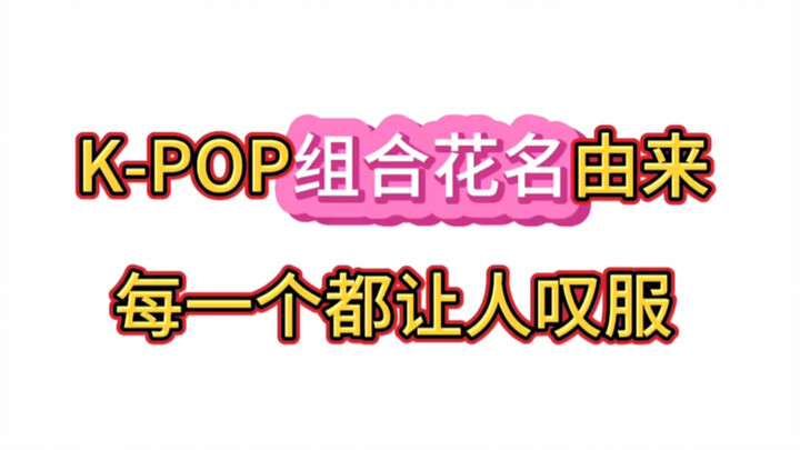 Nguồn gốc tên gọi các nhóm nhạc Kpop, cô nàng gấu trúc quả thật quá tài năng