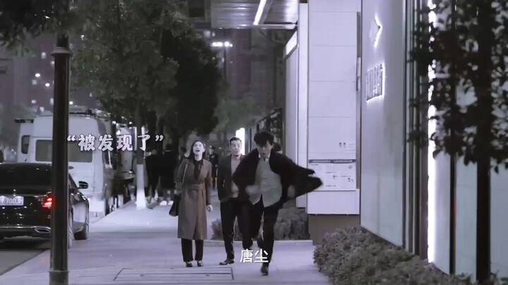 Cặp đôi đừng dễ dàng nuôi mèo, nếu không cãi nhau đến mức chia tay rồi còn tranh giành quyền nuôi mè