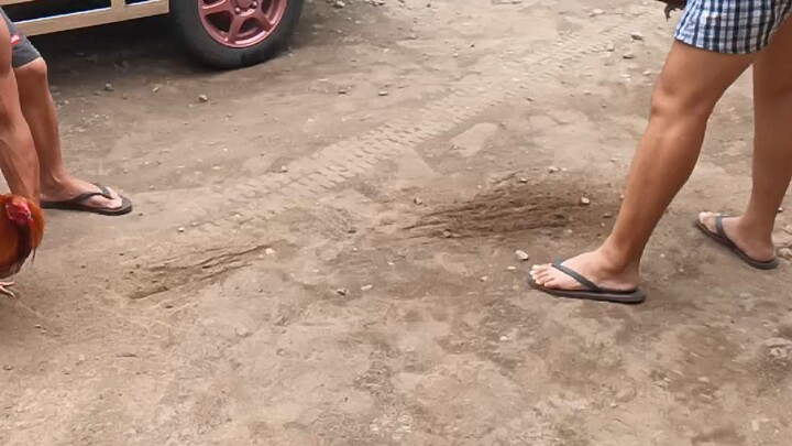 sweater x hatch dome