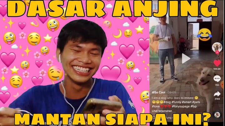 Jan liat klo gk mau sakit perut🤣🤣!! Komplikasi video lucu tiktok!! React video lucu part 8
