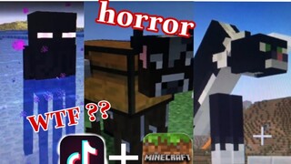 #53 - Những Hình Ảnh Vô Lí Nhất Mà 99% Người Chơi Minecraft Chưa Bao Giờ Thấy