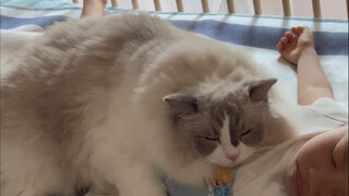 My cat stepped on my belly while I was pregnant, and I made it pay the price... #cutepet #homewithfu