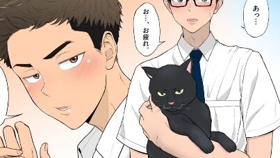 Adult Man's Book Collection