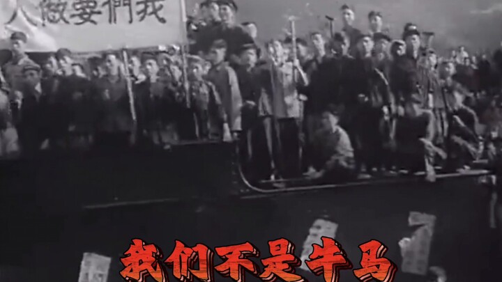 “เราไม่ใช่ควายหรือม้า แต่เราเป็นมนุษย์”