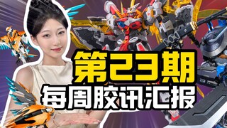 【第23期】国模新势力 每周胶讯汇报
