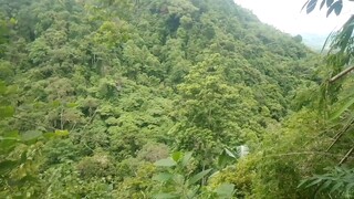 Mountain Of Mali little Baguio